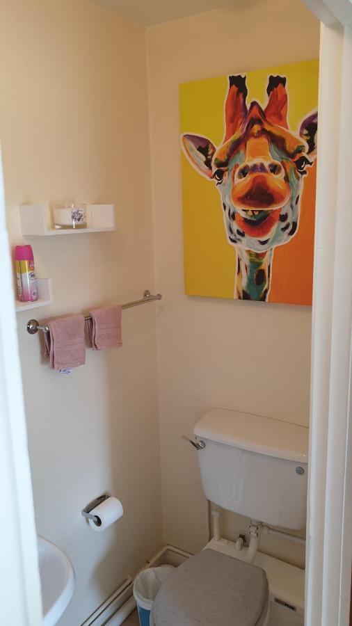 Strokestown Sunnyside B&B 외부 사진